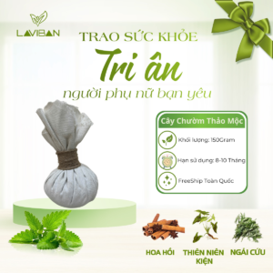 Cây chườm thảo dược
