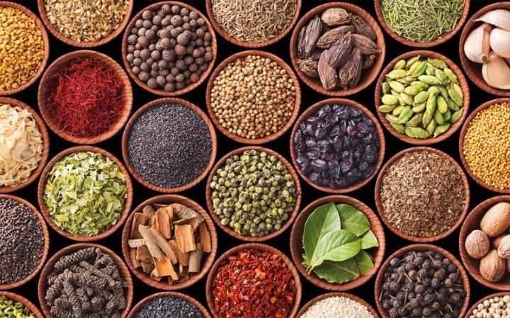 Chăm Sóc Sức Khỏe Chủ Động