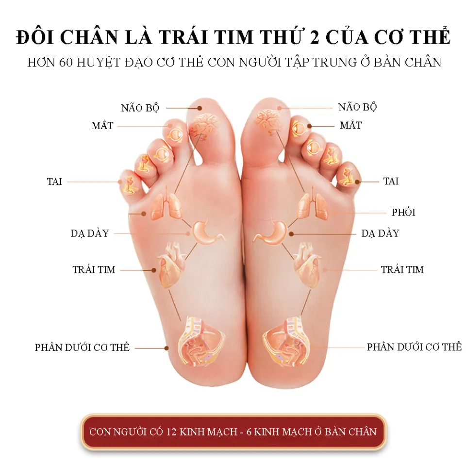 cung-cap-si-muoi-ngam-chan