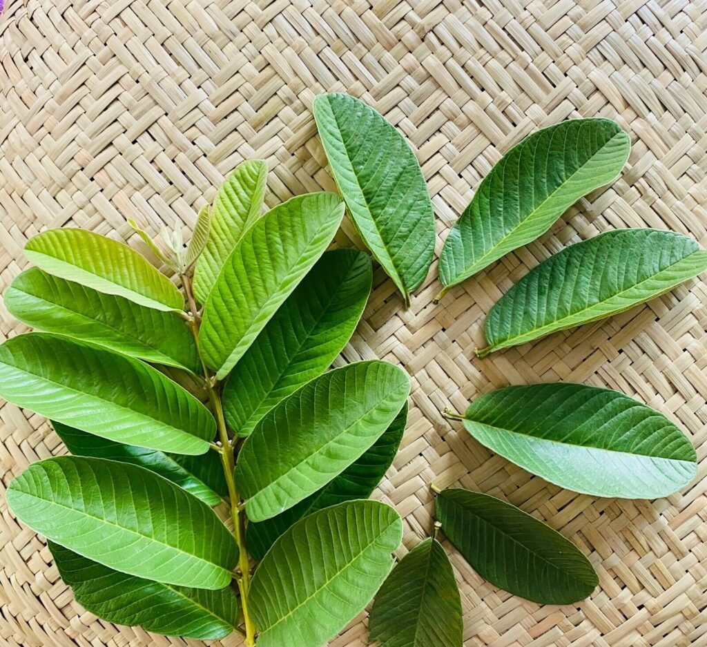 hoi-nach-co-tri-duoc-khong hoi-nach-co-tri-duoc-khong