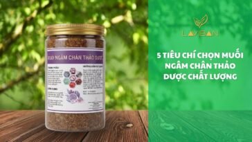 muoi-ngam-chan-thao-duoc-add