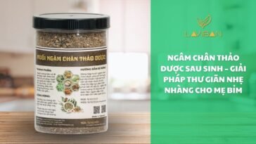 muoi-ngam-chan-thao-duoc-add