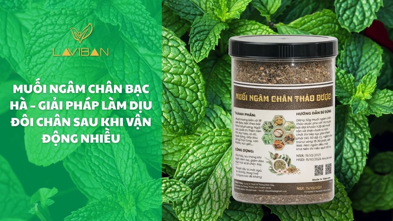 muoi-ngam-chan-thao-duoc-add